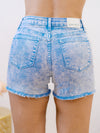 Picnic Crush Judy Blue Shorts